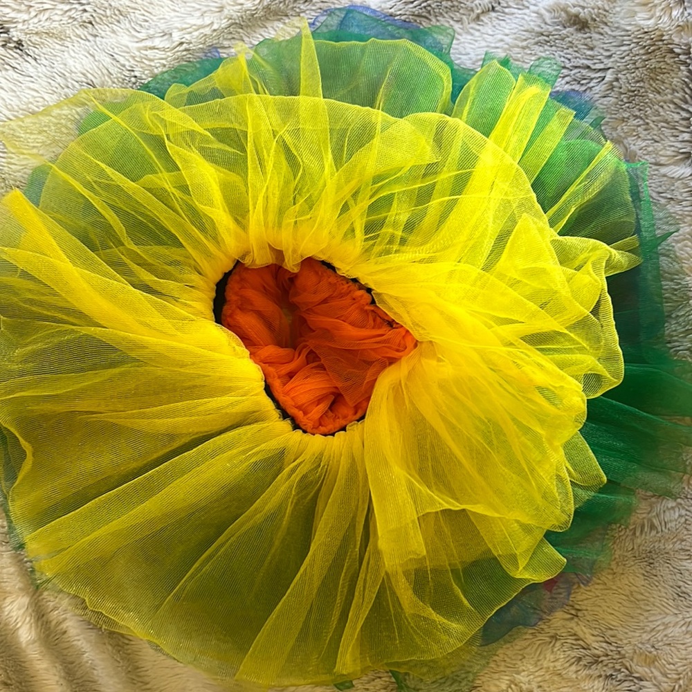 Colorful tutu